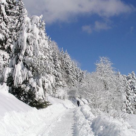 Ferienwohnung Am Eisweiher Титизее-Нойштадт Экстерьер фото