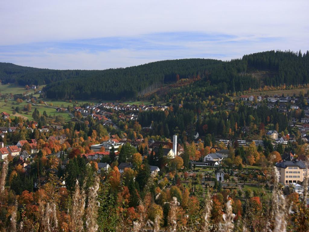 Ferienwohnung Am Eisweiher Титизее-Нойштадт Экстерьер фото