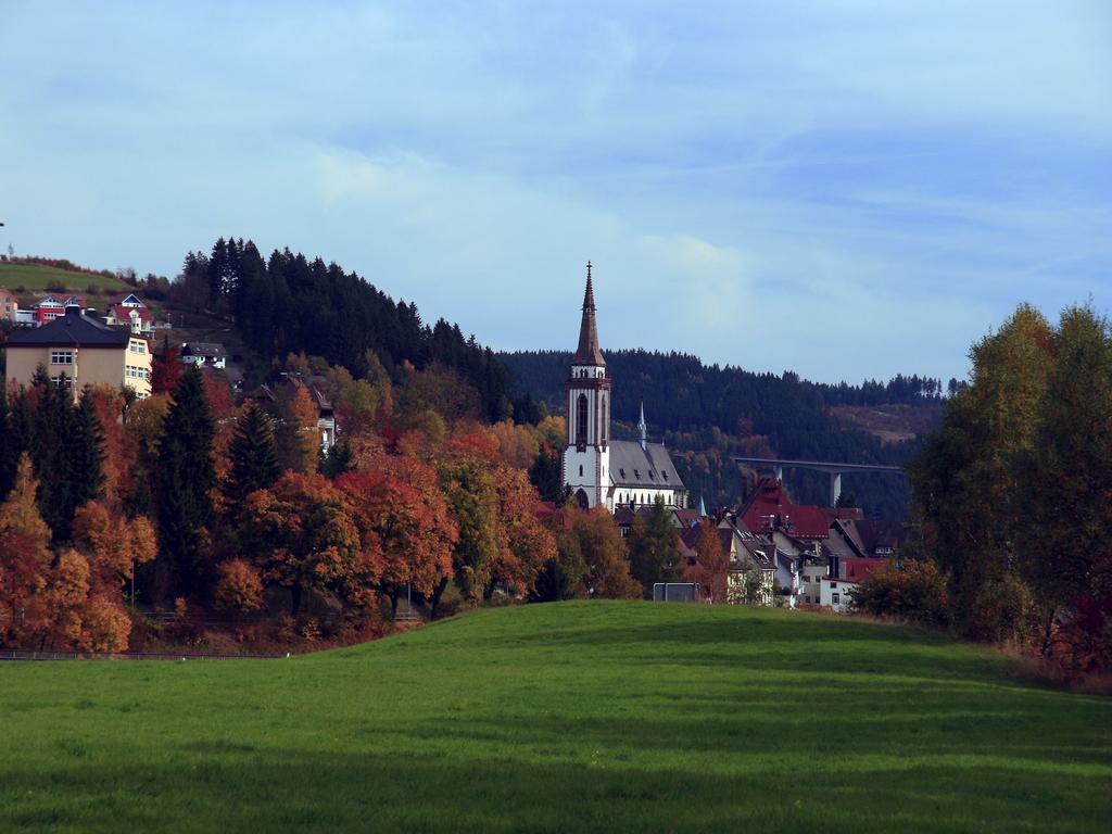 Ferienwohnung Am Eisweiher Титизее-Нойштадт Экстерьер фото