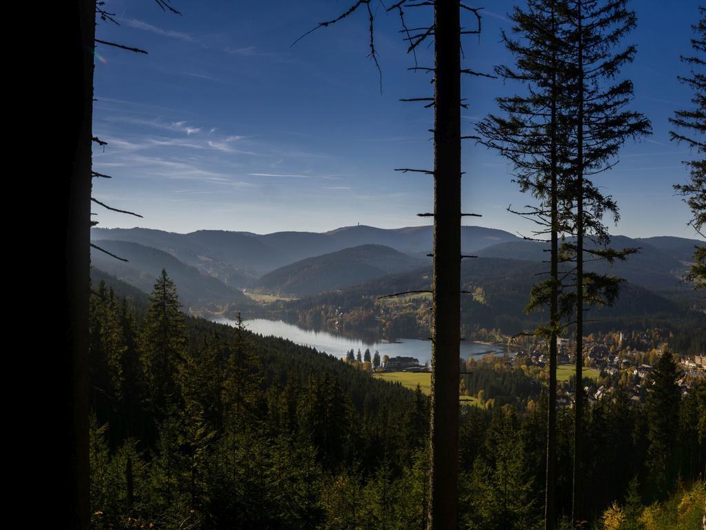 Ferienwohnung Am Eisweiher Титизее-Нойштадт Экстерьер фото